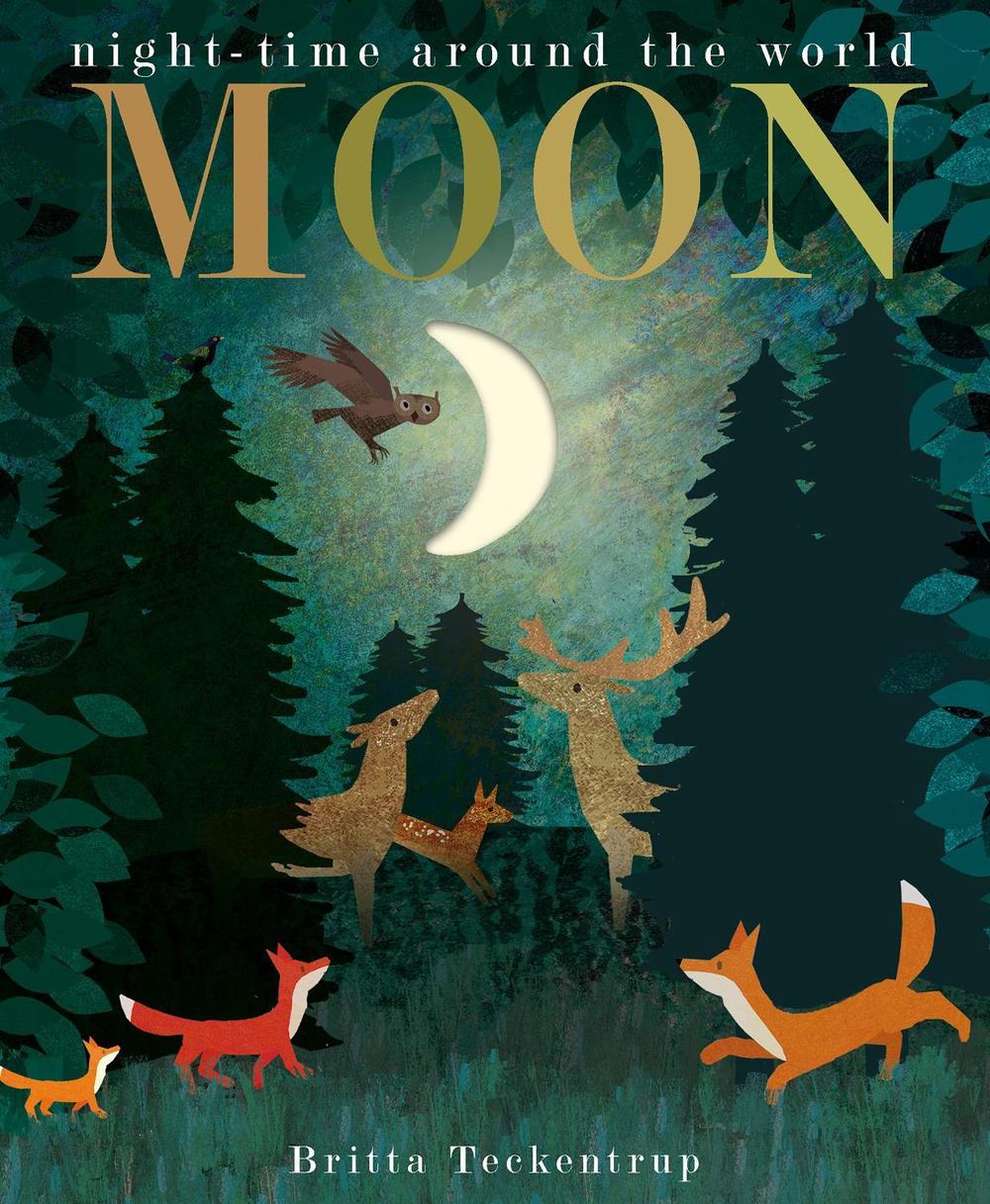 Moon by Patricia Hegarty - ISBN: 9781788817158