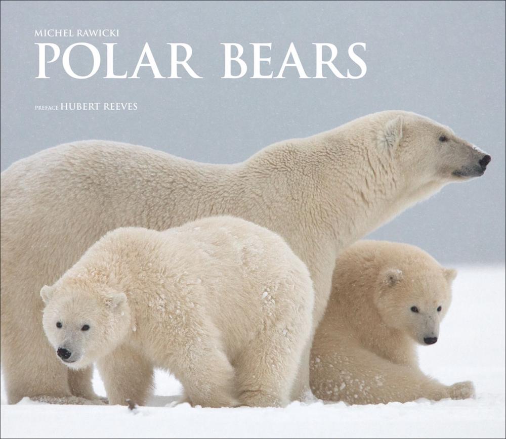 Polar Bears, 9781788840422