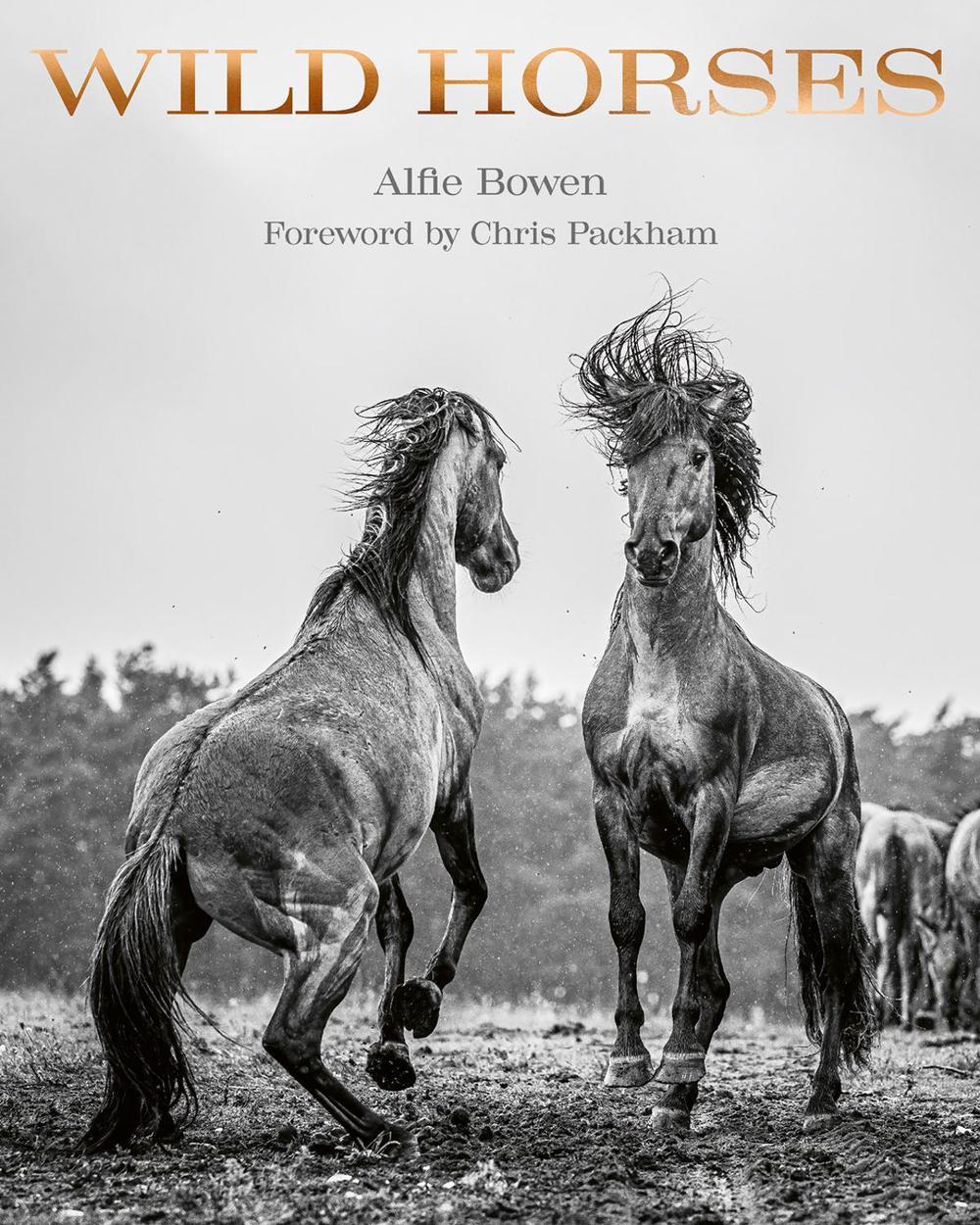 Wild Horses by Alfie Bowen - ISBN: 9781788842624