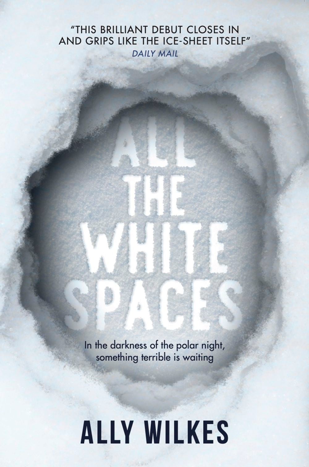 All the White Spaces by Ally Wilkes - ISBN: 9781789097832