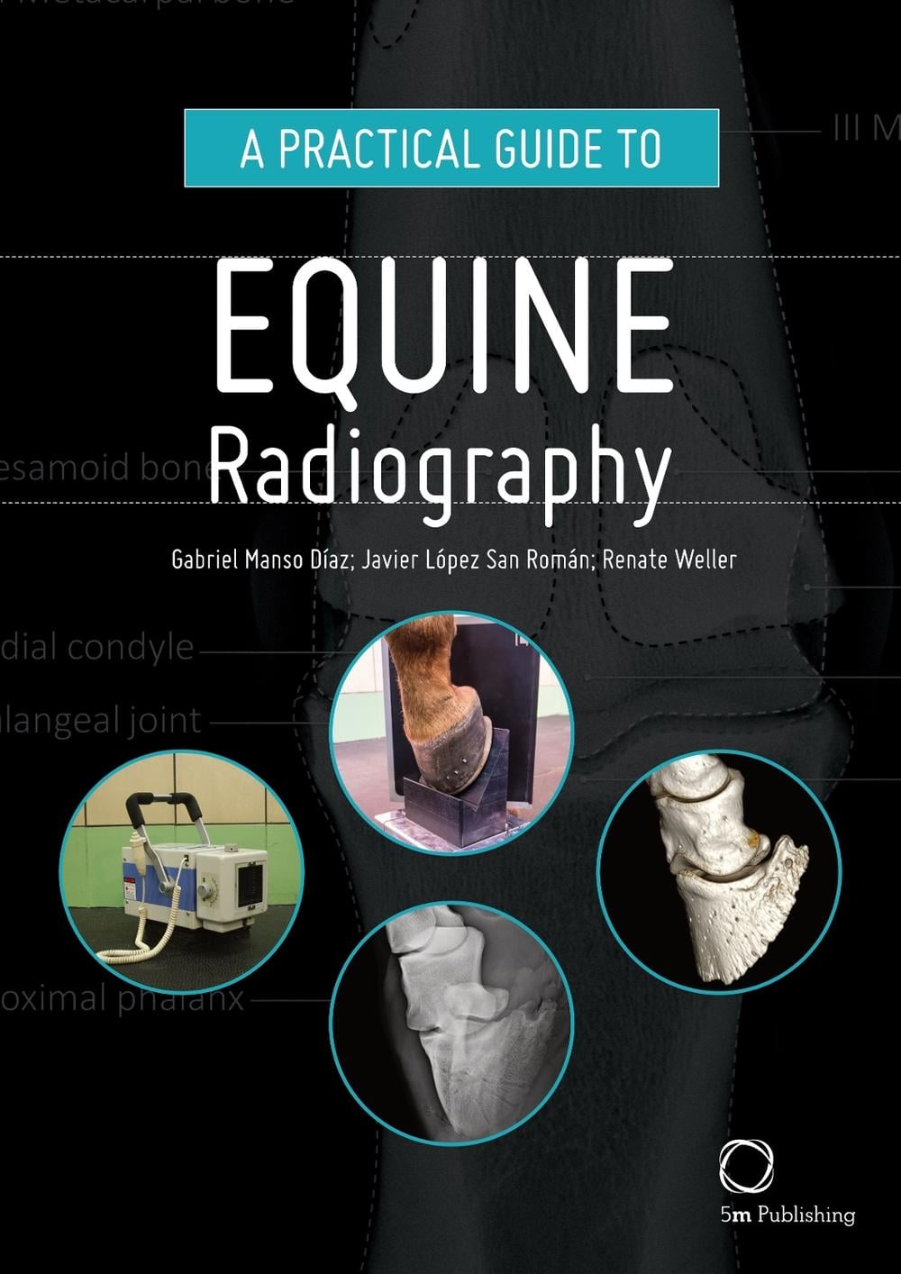 A Practical Guide to Equine Radiography by Renate Weller - ISBN: 9781789180145