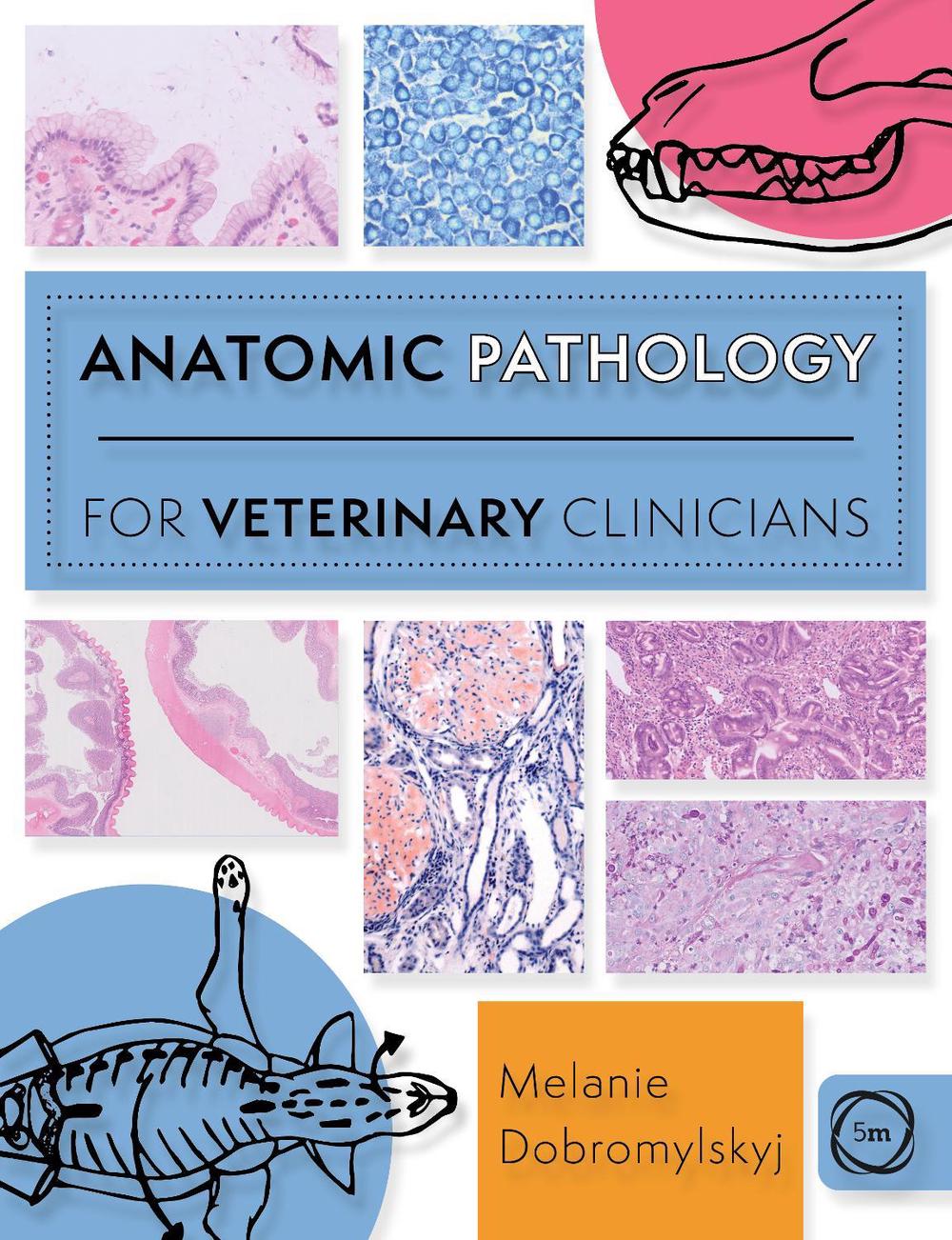 Anatomic Pathology for Veterinary Clinicians, 9781789182378