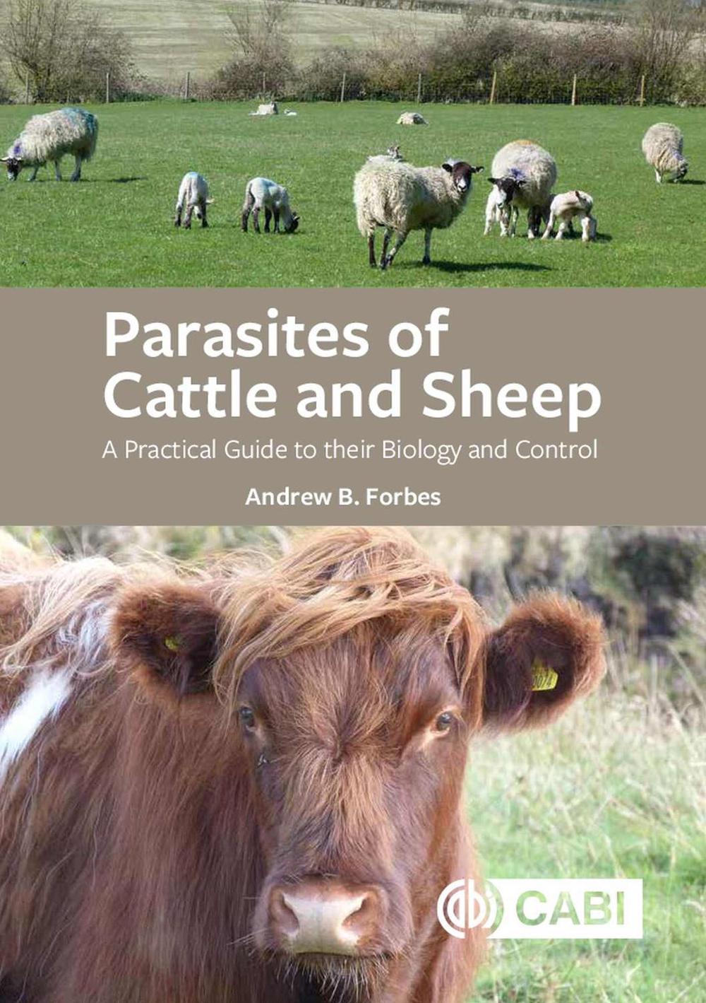 Parasites of Cattle and Sheep by Andrew B. Forbes - ISBN: 9781789245158