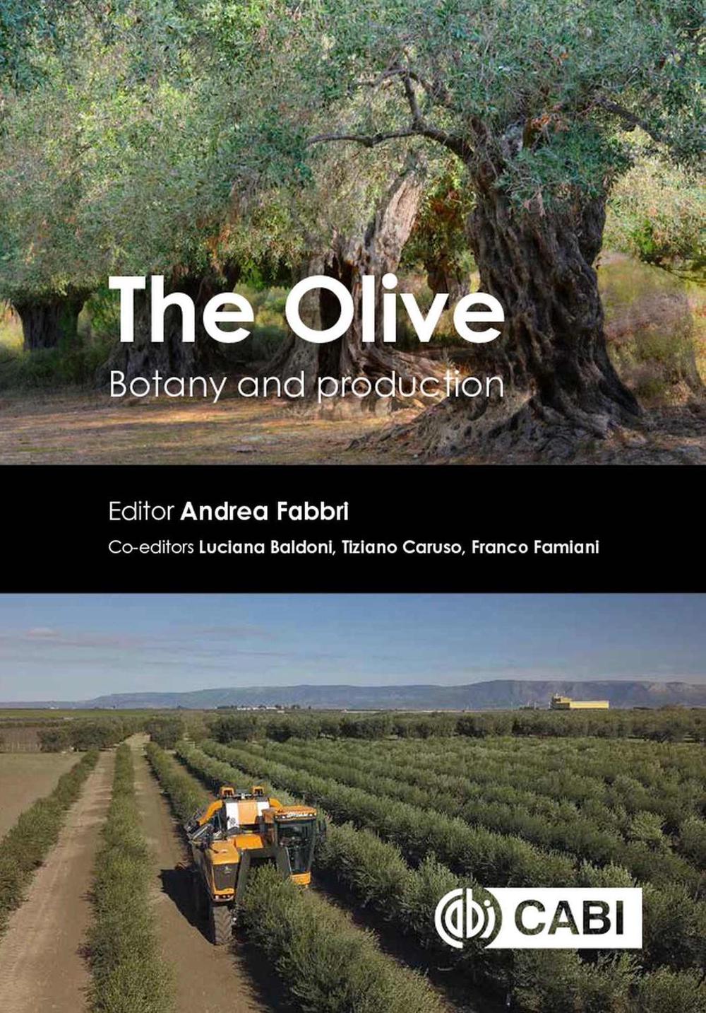 The Olive by Luciana Baldoni - ISBN: 9781789247336