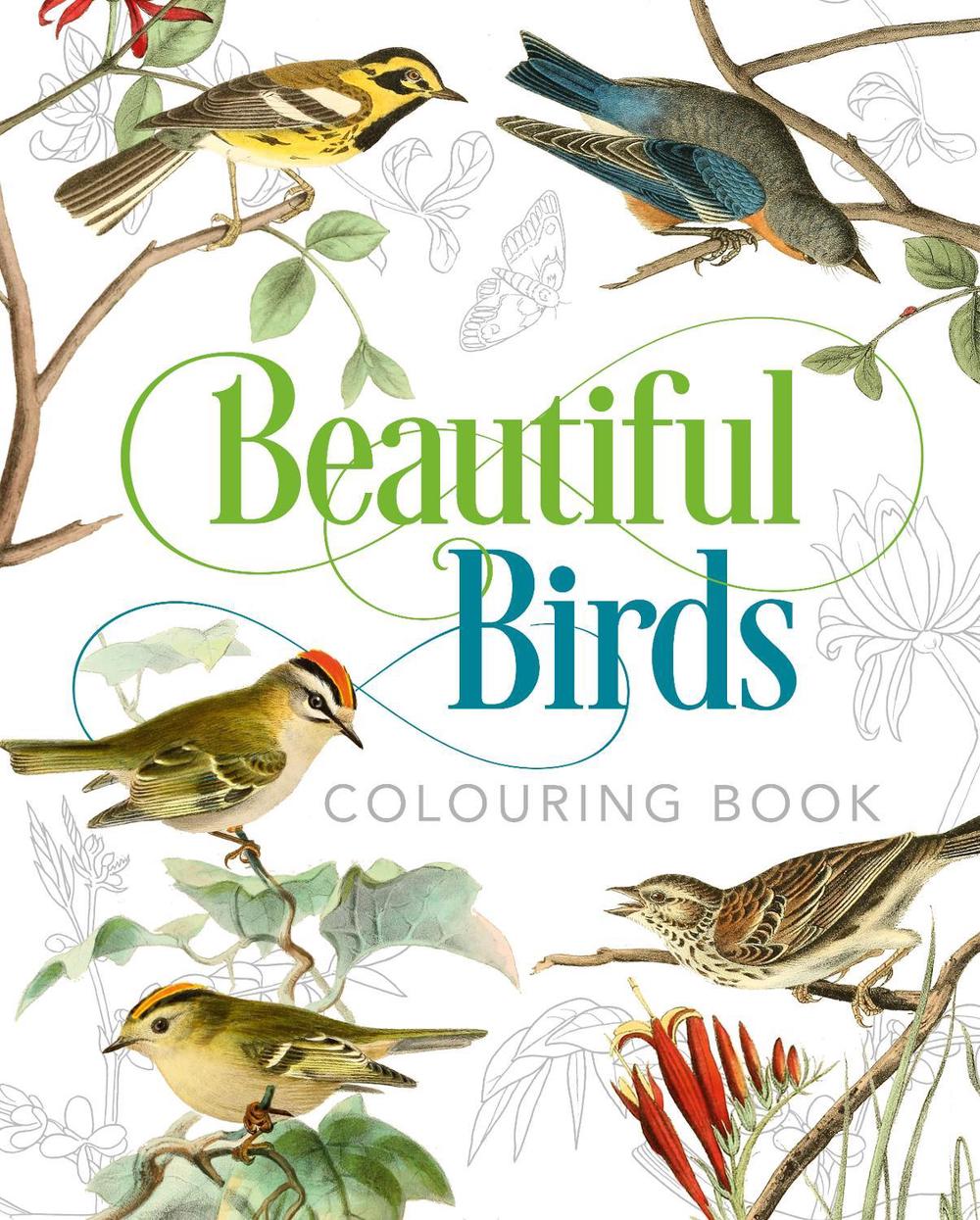 Beautiful Birds Colouring Book, 9781789501063