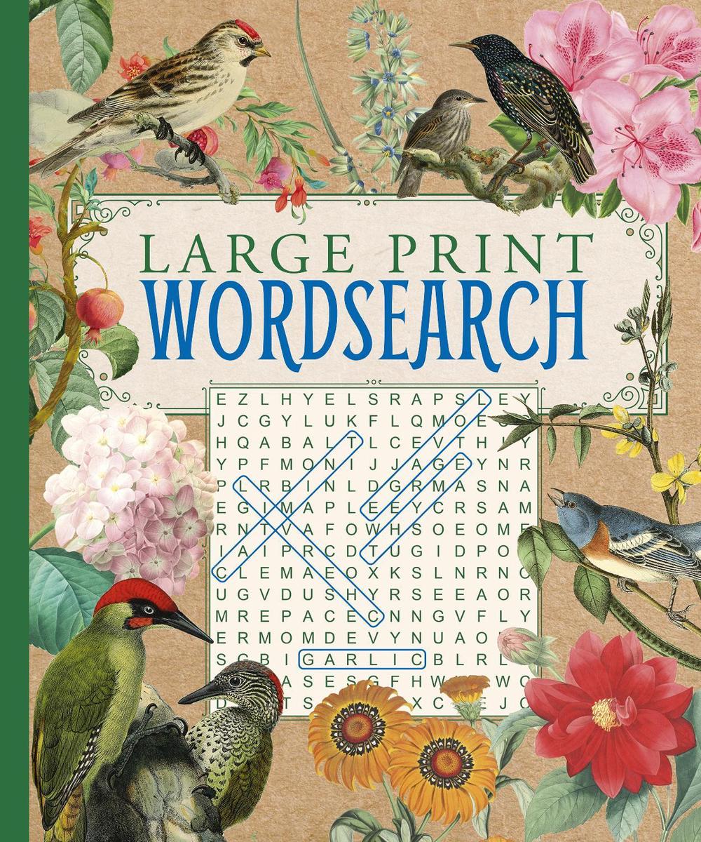 Large Print Wordsearch, 9781789504538