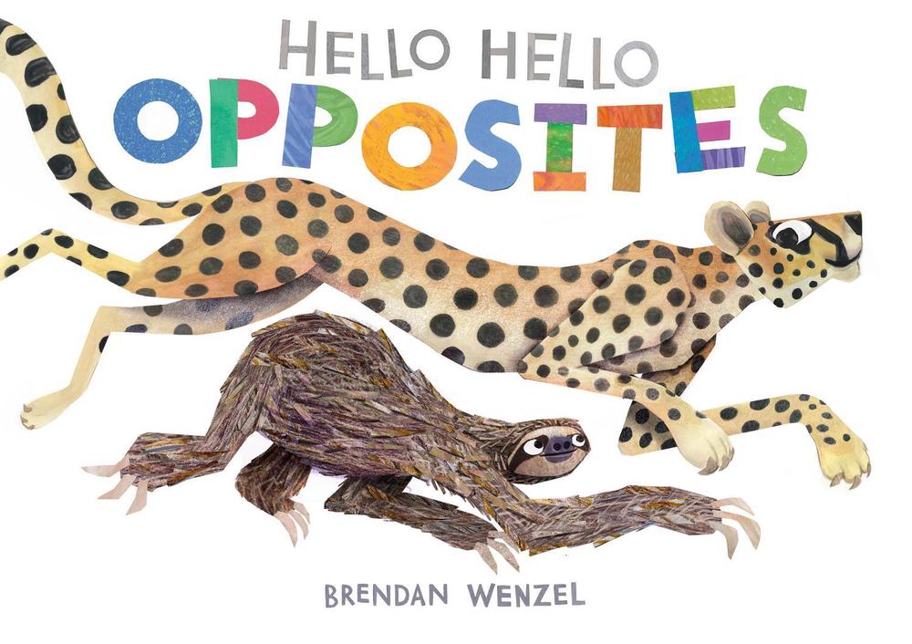 Hello Hello Opposites, 9781797219981