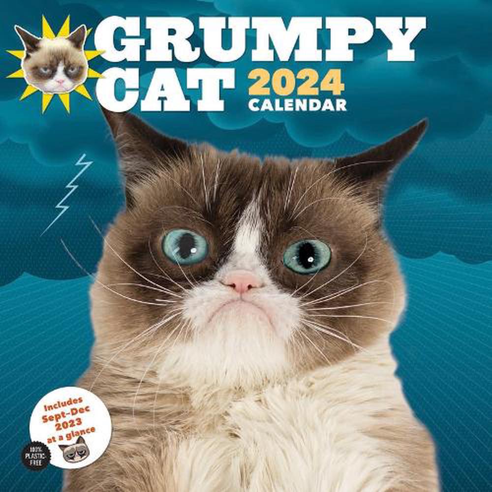 2024 Wall Cal Grumpy Cat by Grumpy Cat, 9781797221960 Buy online at