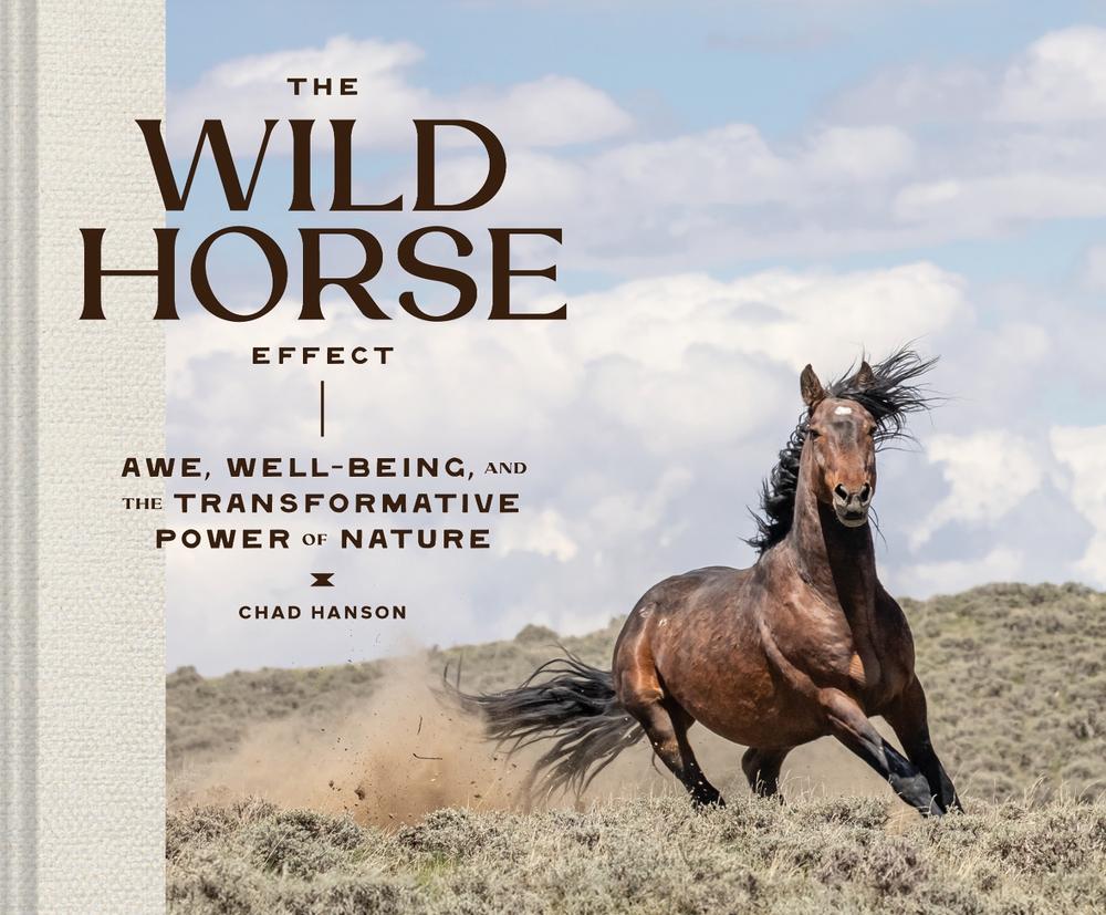 The Wild Horse Effect, 9781797228655