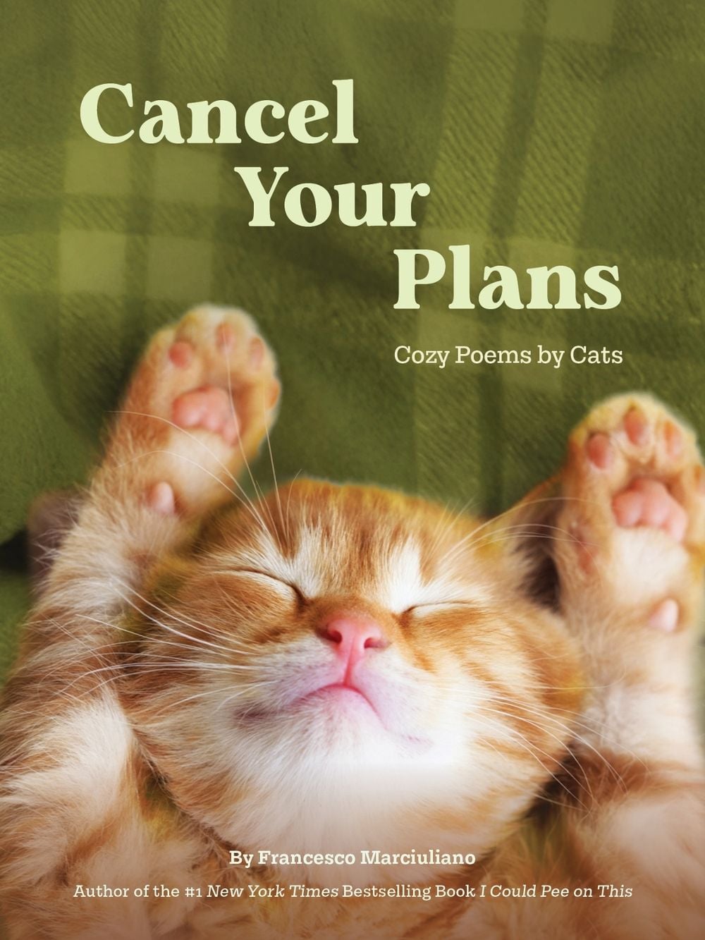 Cancel Your Plans by Francesco Marciuliano - ISBN: 9781797245874