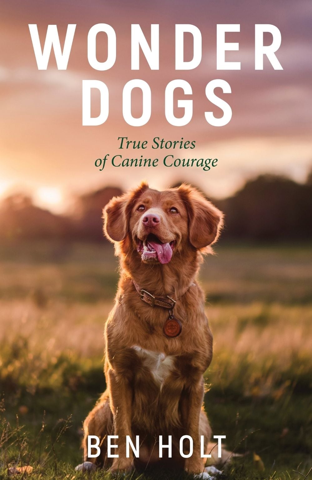 Wonder Dogs by Ben Holt - ISBN: 9781800071803