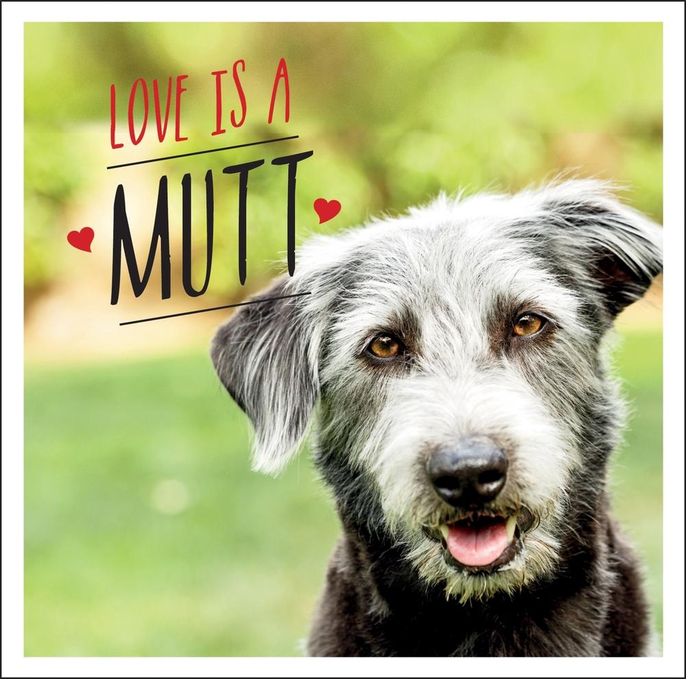 Love is a Mutt, 9781800071919