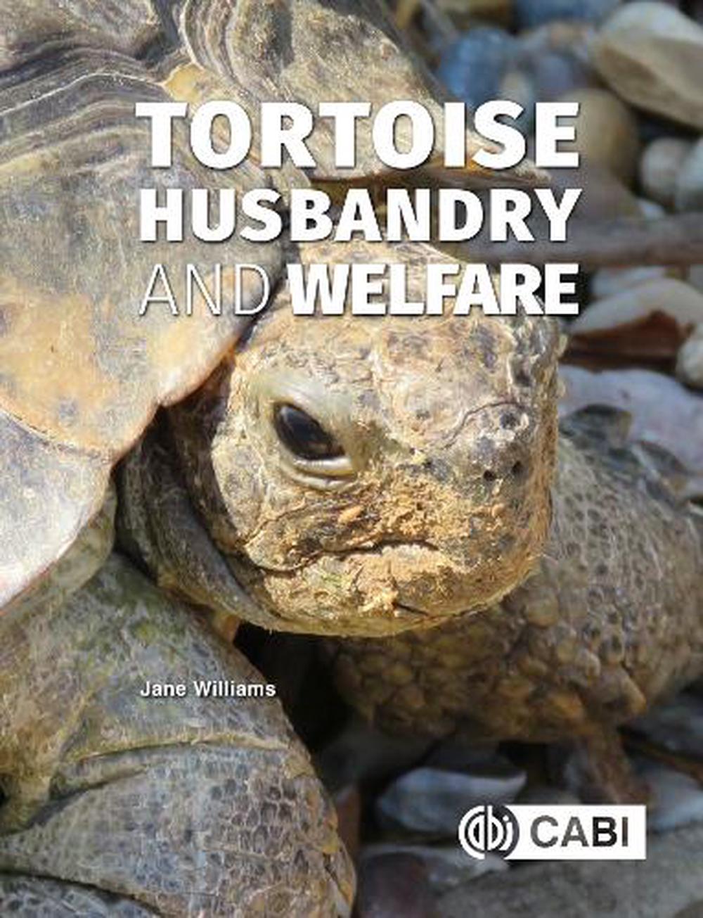 Tortoise Husbandry and Welfare by Jane Williams - ISBN: 9781800623712