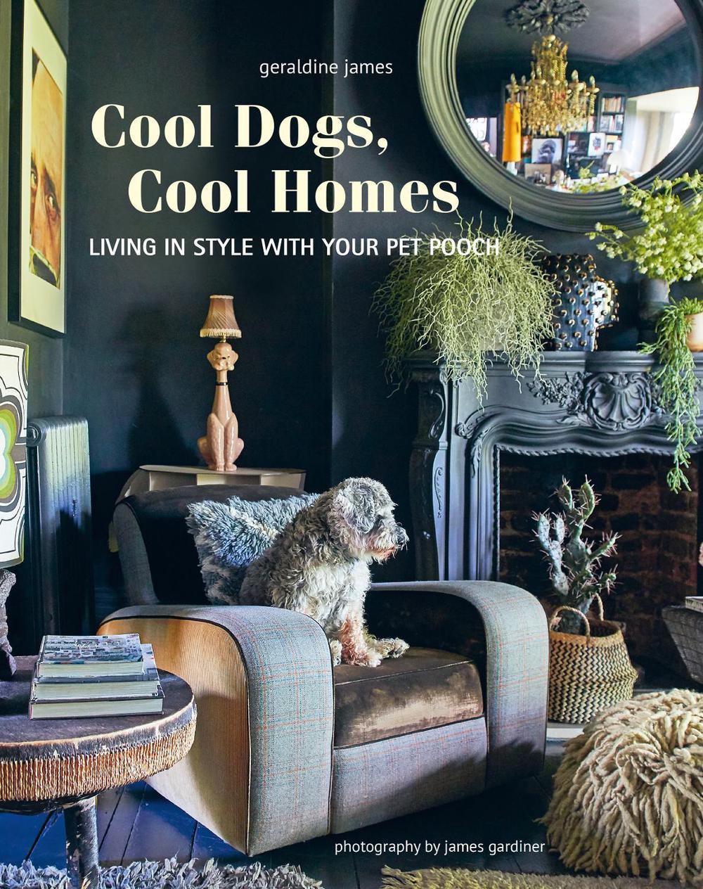 Cool Dogs, Cool Homes by Geraldine James - ISBN: 9781800652767
