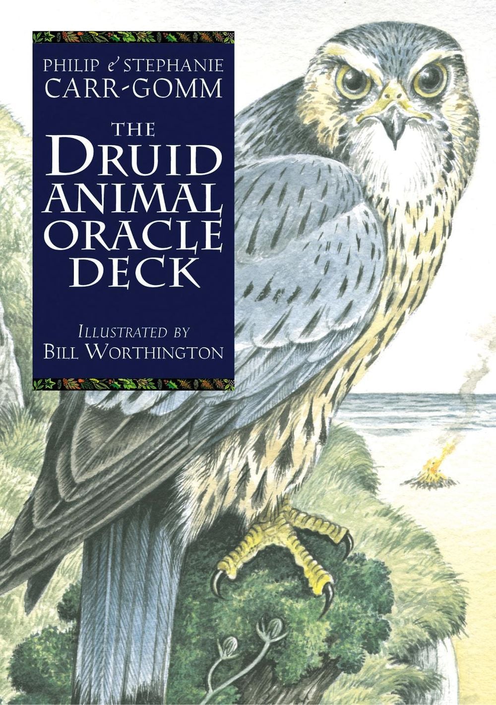 The Druid Animal Deck by Philip Carr-gomm - ISBN: 9781800691254