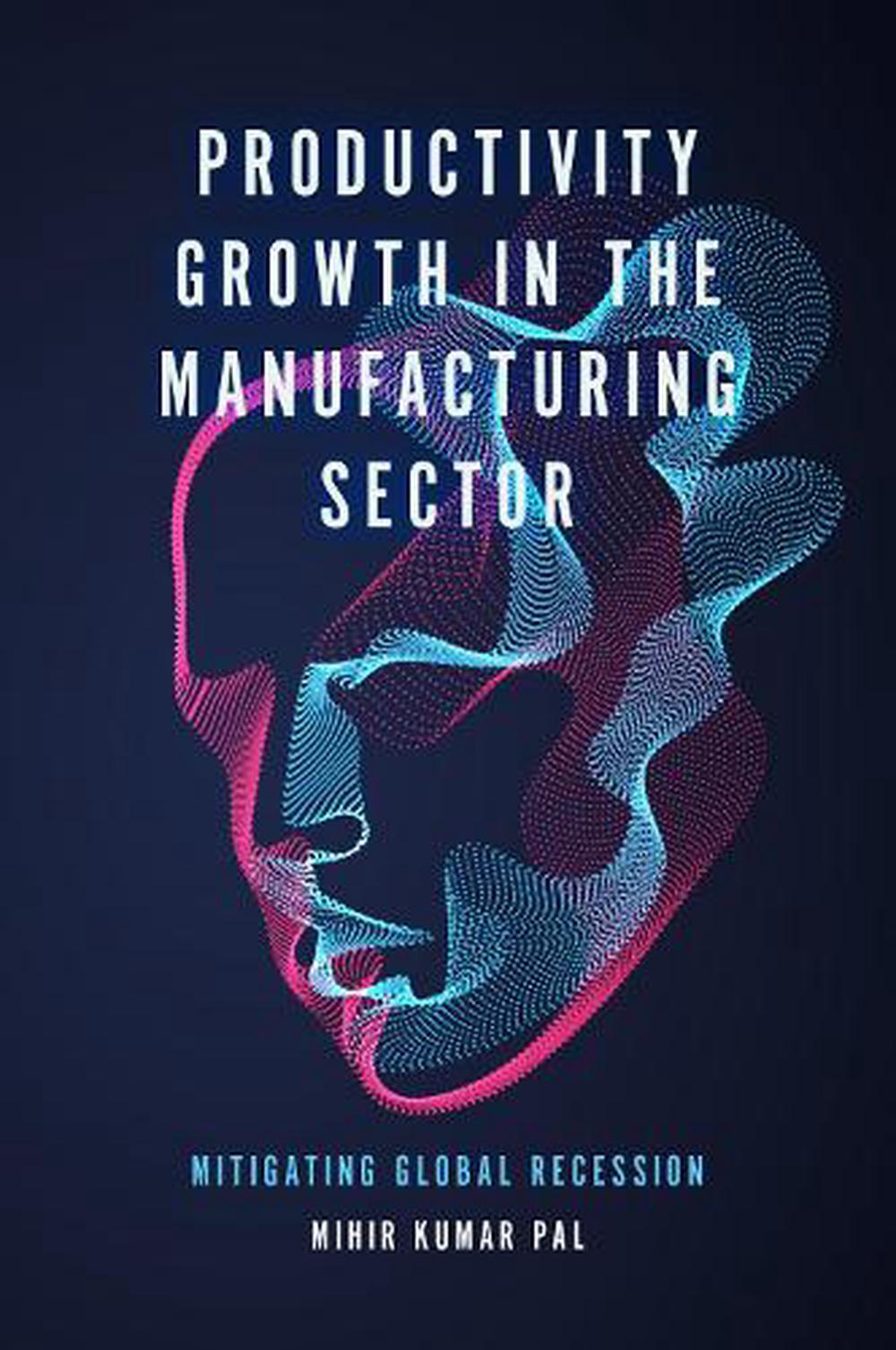 Productivity Growth In The Manufacturing Sector, Hardcover ...