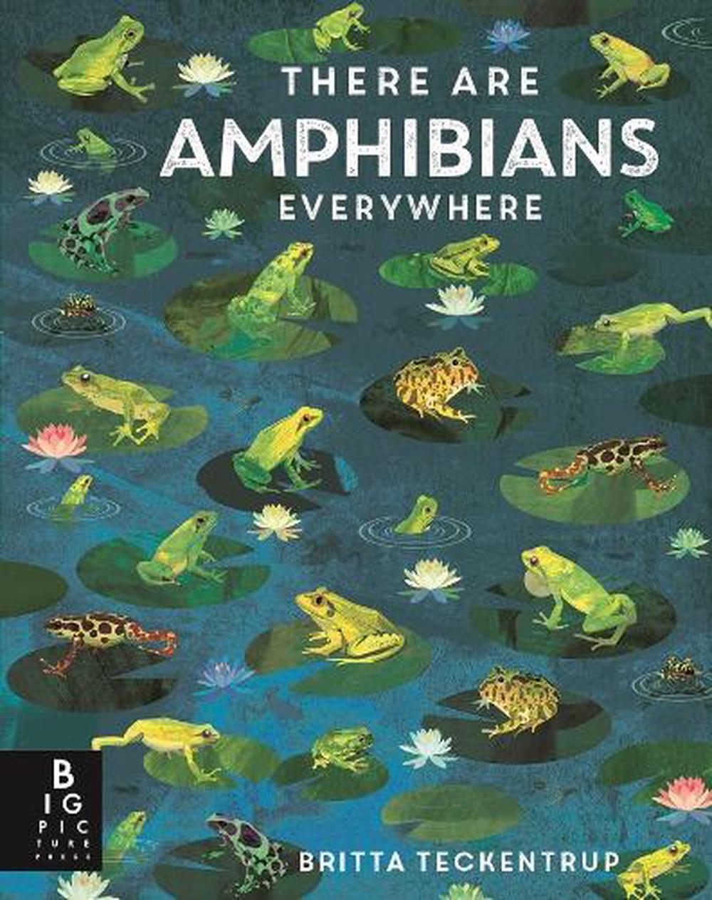 There Are Amphibians Everywhere, 9781800787124