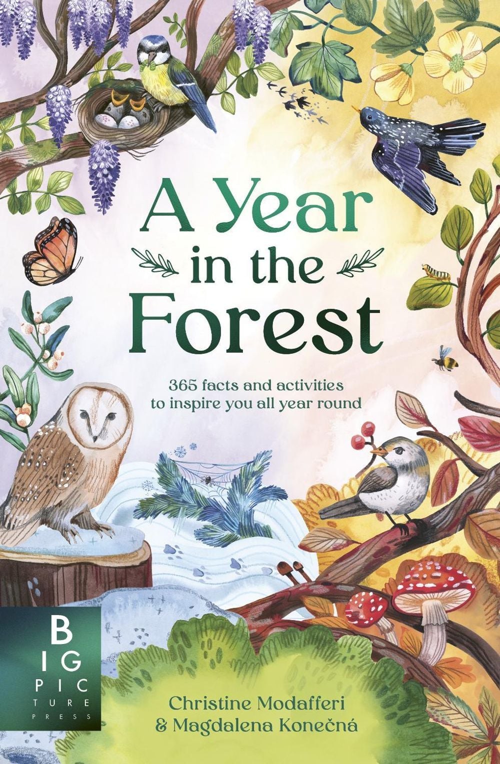 A Year in the Forest by Christine Modafferi - ISBN: 9781800788176