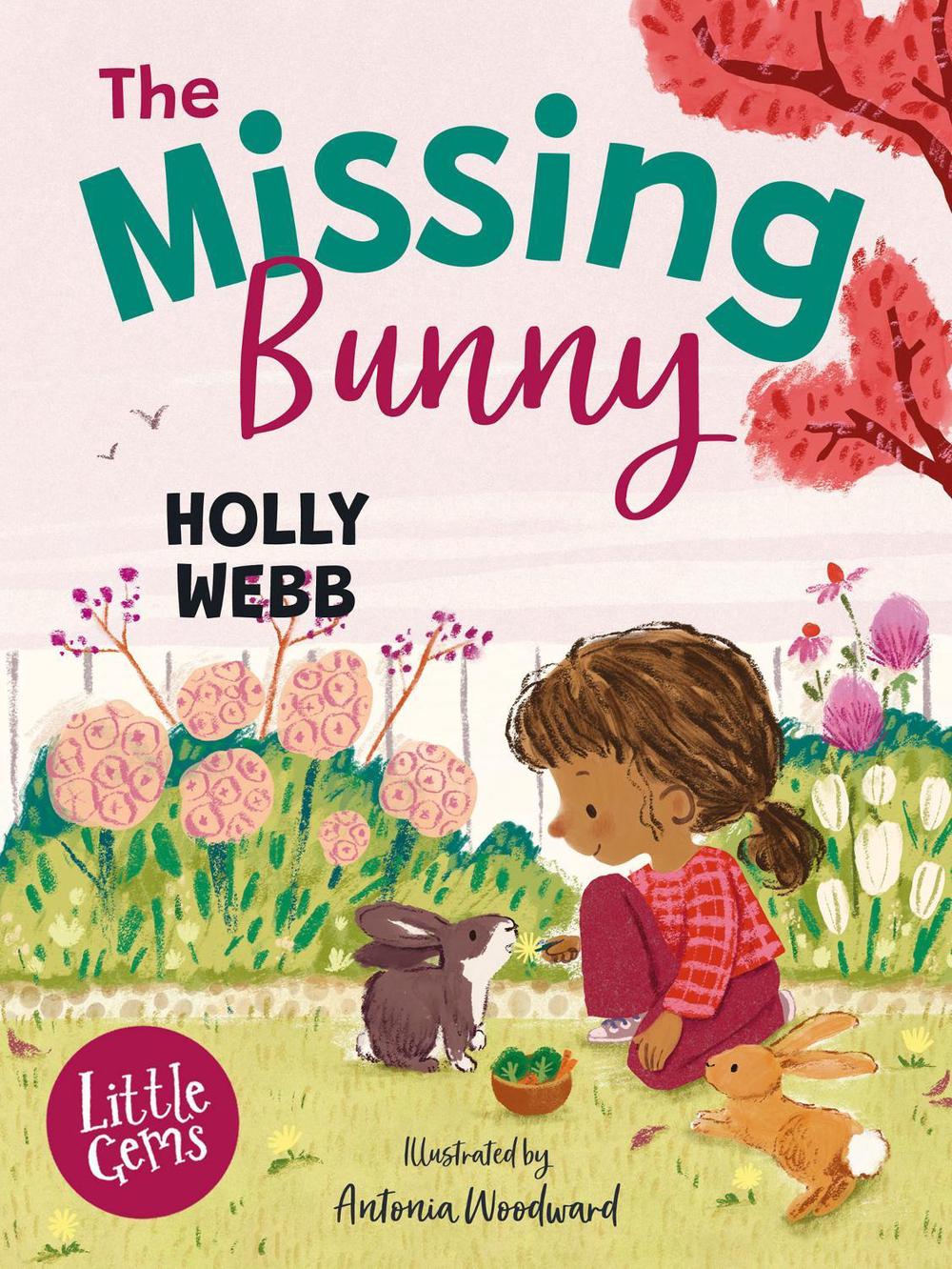 The Missing Bunny, 9781800902411