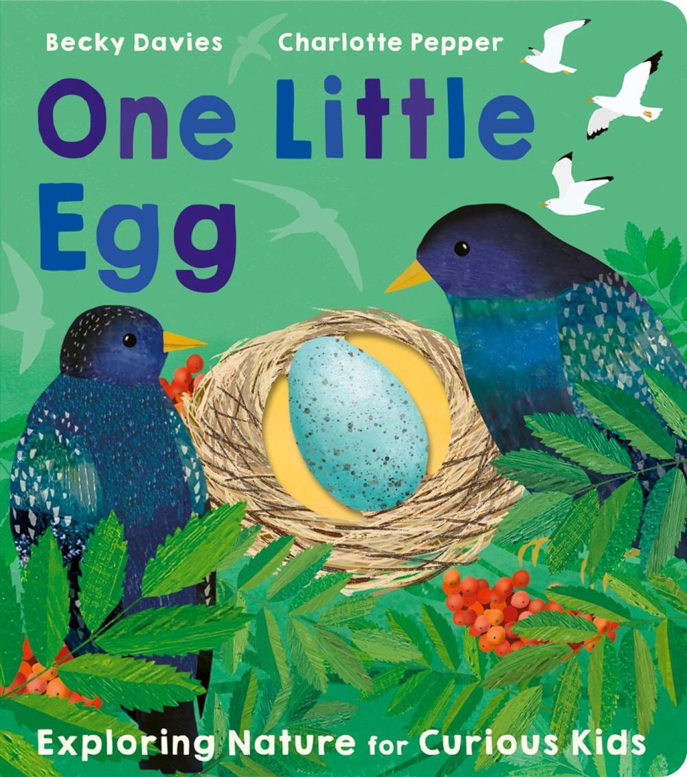One Little Egg by Becky Davies - ISBN: 9781801043236