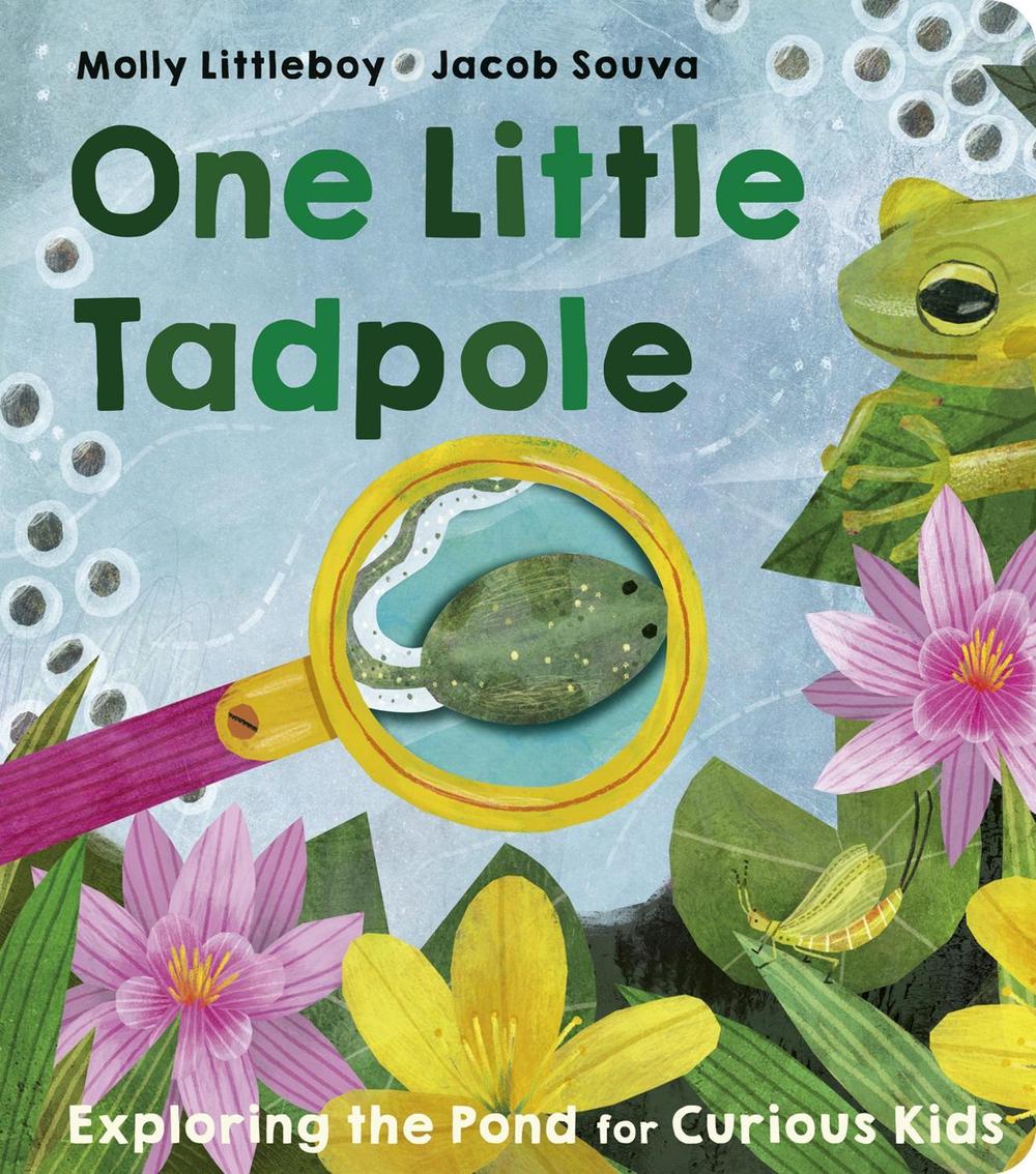 One Little Tadpole by Molly Littleboy - ISBN: 9781801044349