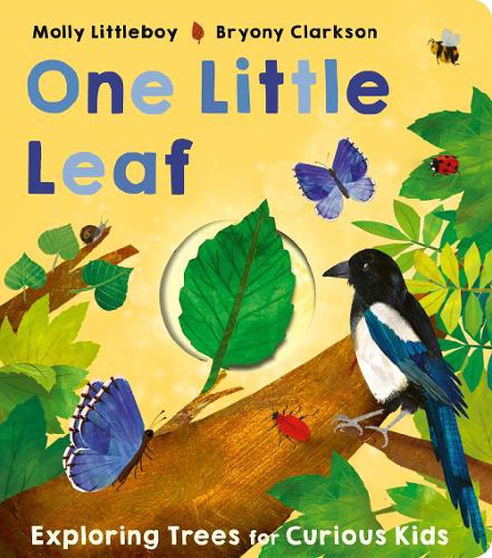 One Little Leaf by Molly Littleboy - ISBN: 9781801044615