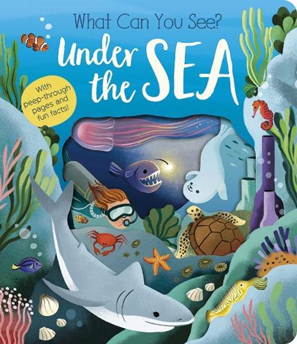 What Can You See? Under the Sea by Molly Littleboy - ISBN: 9781801045551