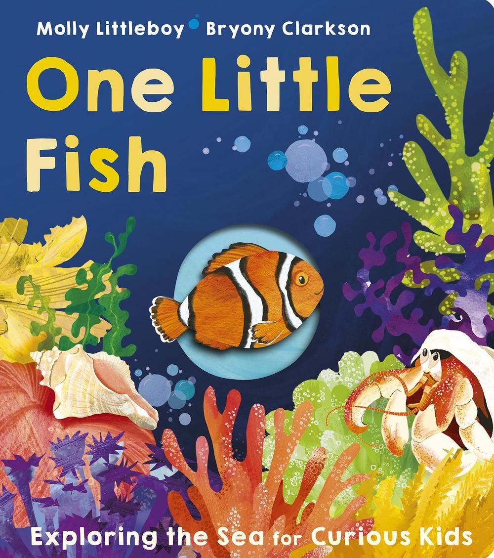 One Little Fish by Molly Littleboy - ISBN: 9781801045650