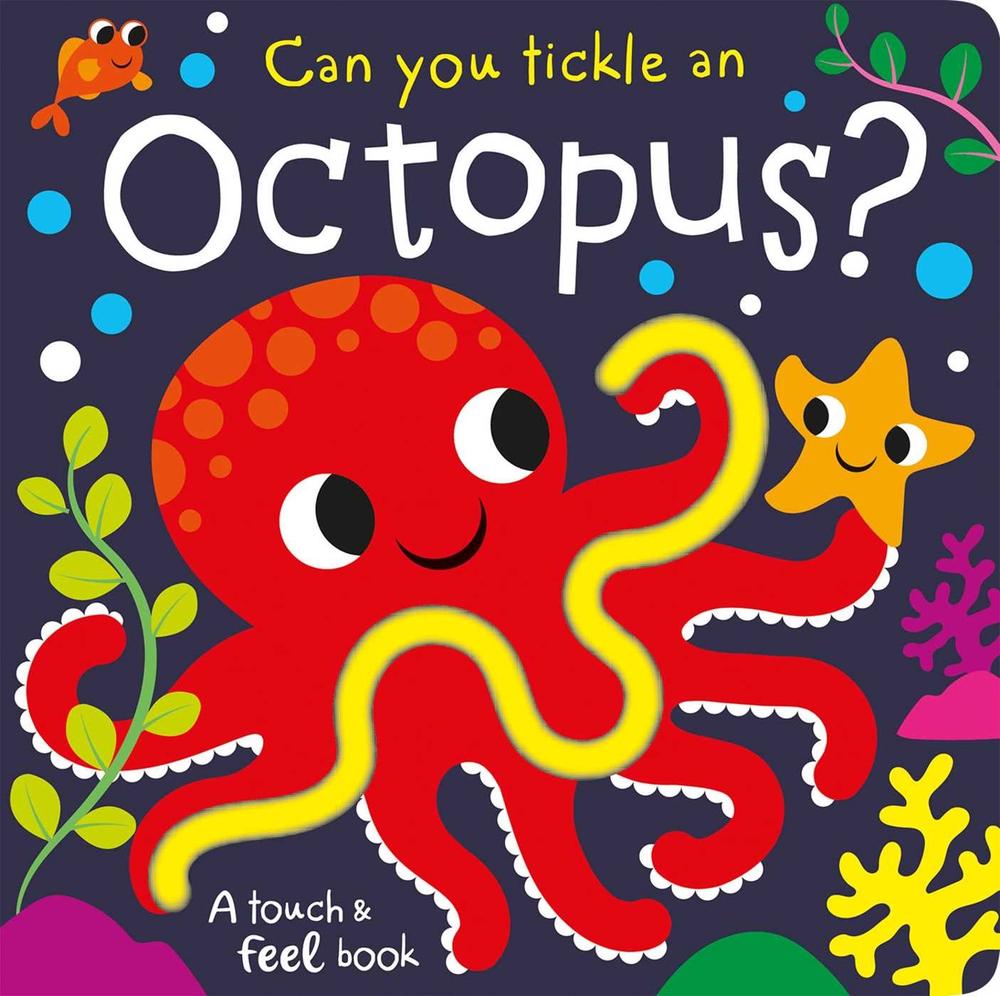 Can You Tickle an Octopus? Touch Fe by Brooks Bobbie - ISBN: 9781801059343