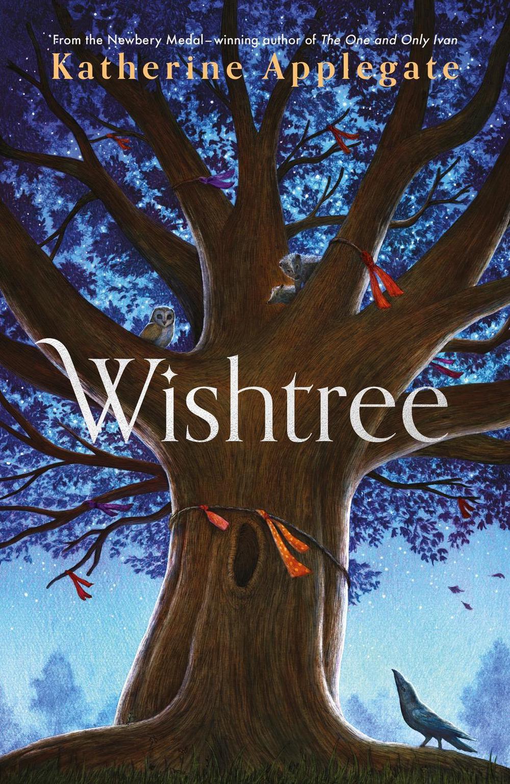 Wishtree, 9781801300704
