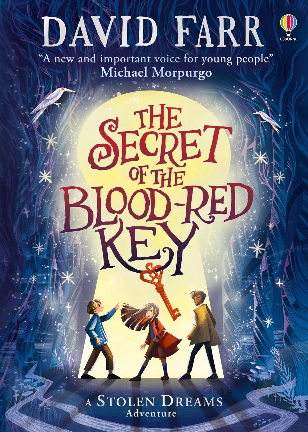 Front cover of The Secret of the Blood-Red Key by David Farr, illustrated by Kristina Kister