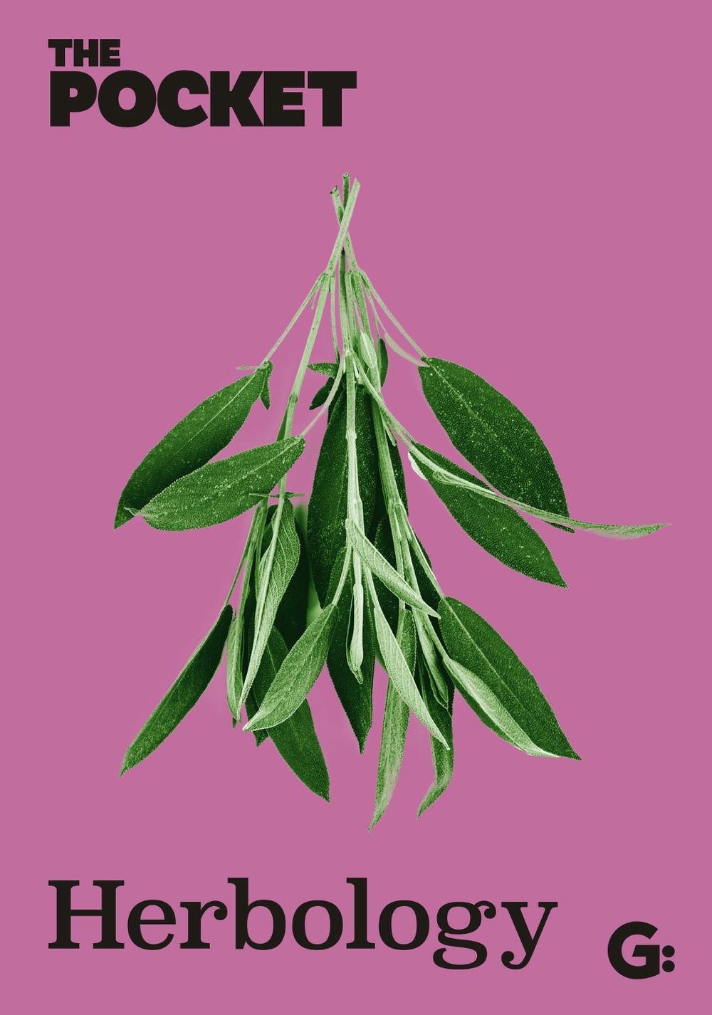 The Pocket Herbology, 9781802472974