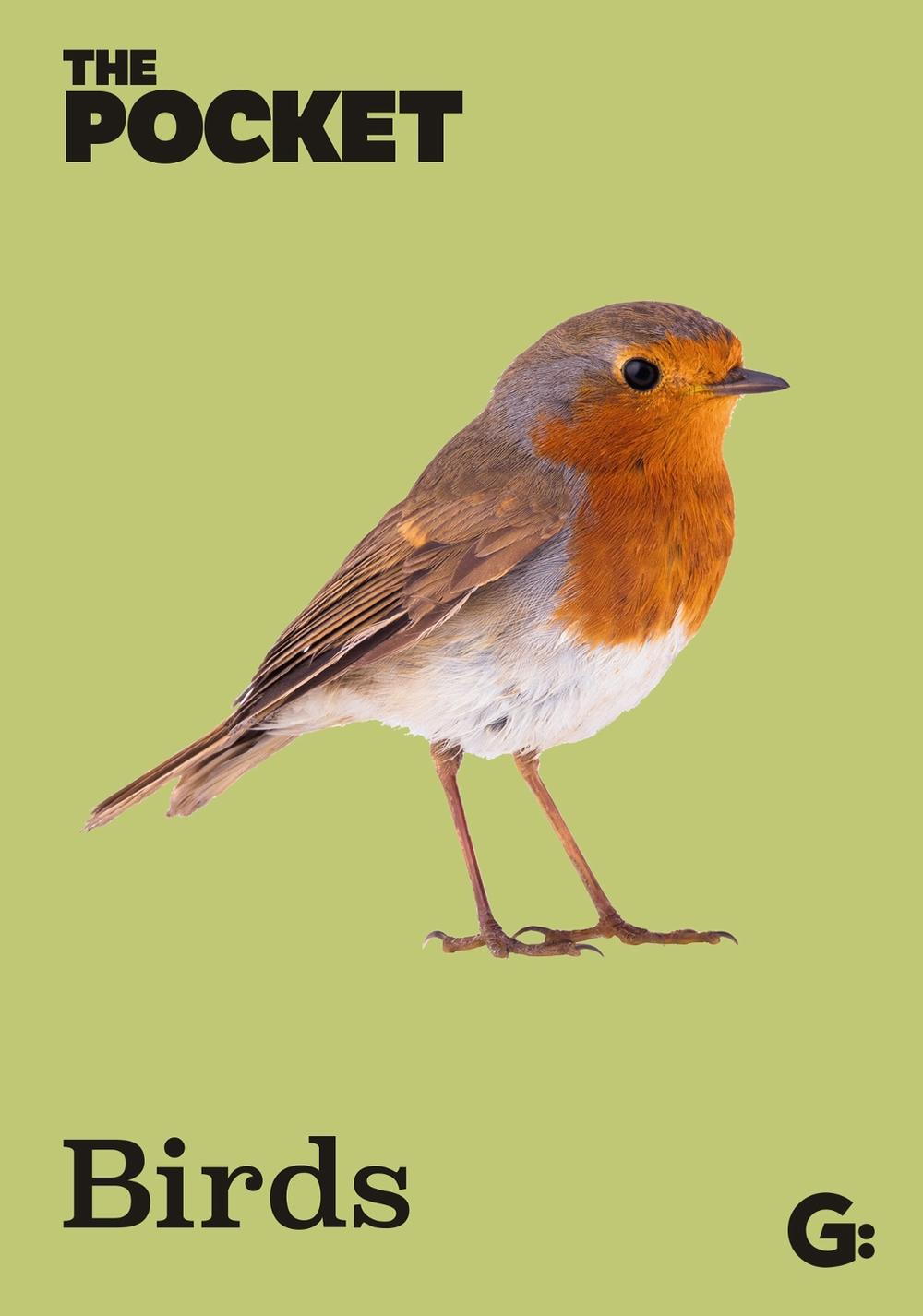 The Pocket Birds by Gemini Books - ISBN: 9781802473018
