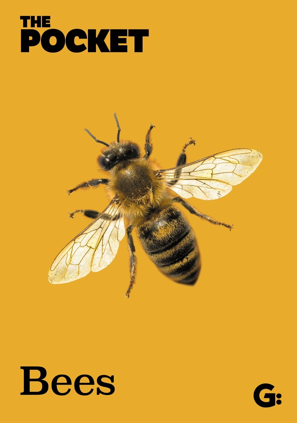 The Pocket Bees by Gemini Books - ISBN: 9781802474084