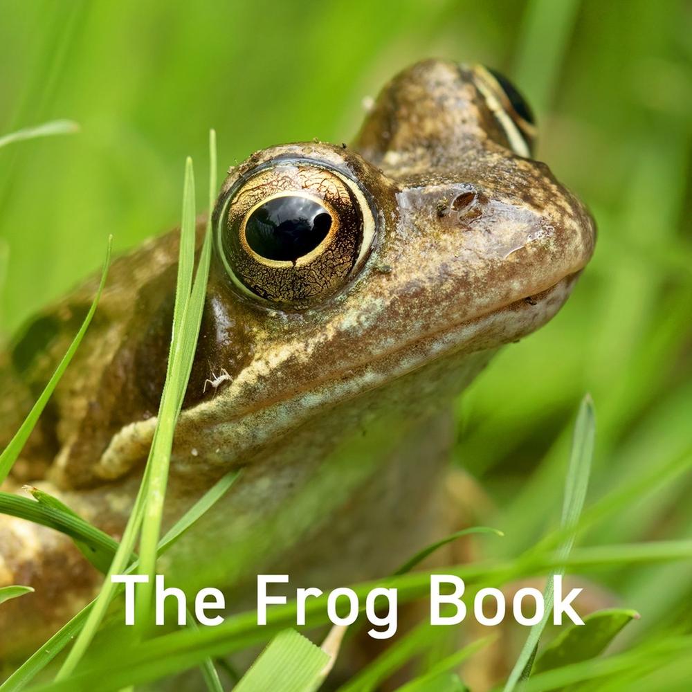Nature Book Series: The Frog Book, 9781802583557