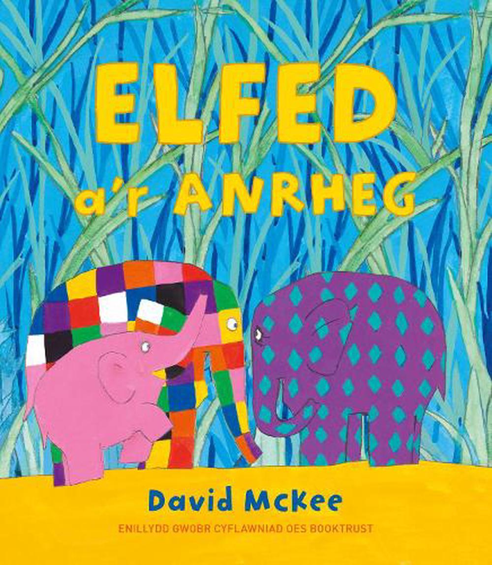 Elfed a'r Anrheg by David McKee, Paperback, 9781802587517 | Buy online ...