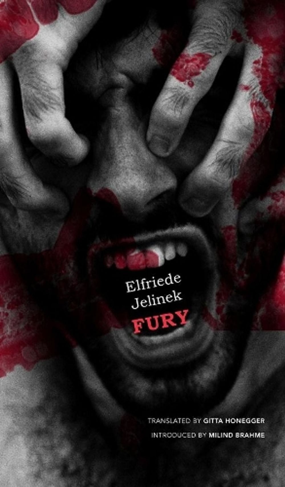 Fury by Elfriede Jelinek - ISBN: 9781803090320