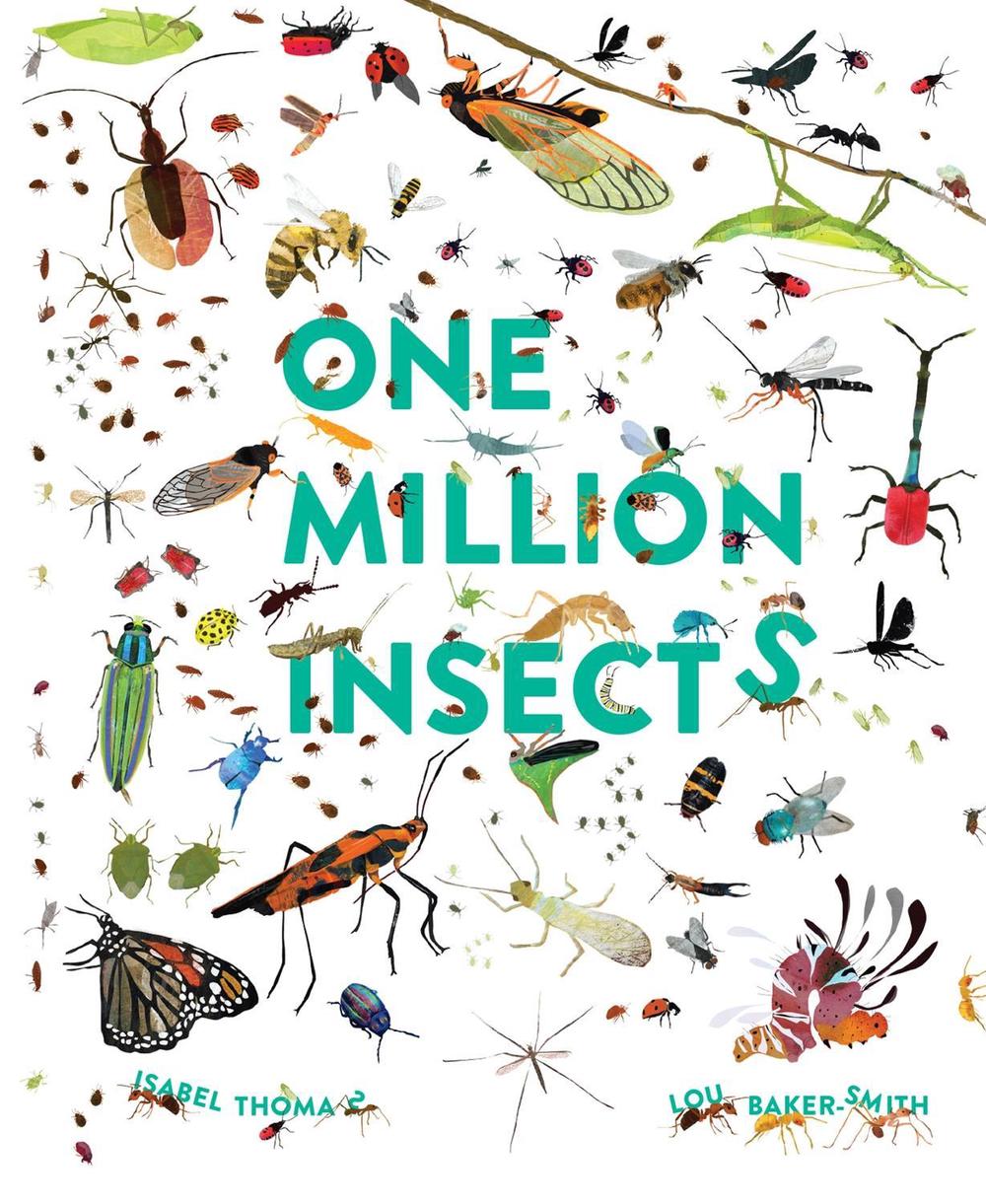 One Million Insects by Isabel Thomas - ISBN: 9781803380087