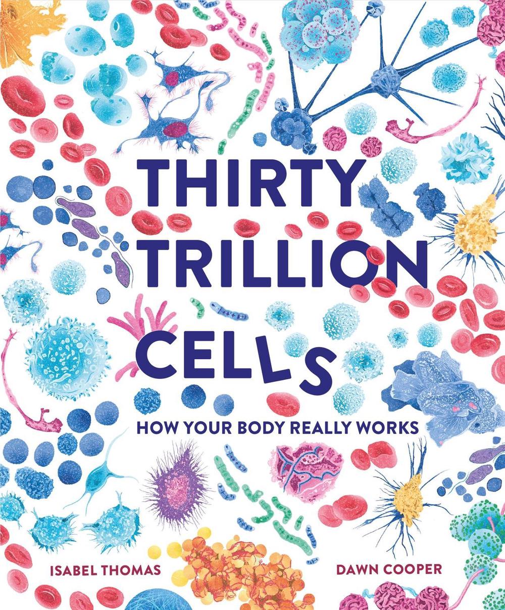 Thirty Trillion Cells by Isabel Thomas - ISBN: 9781803380995