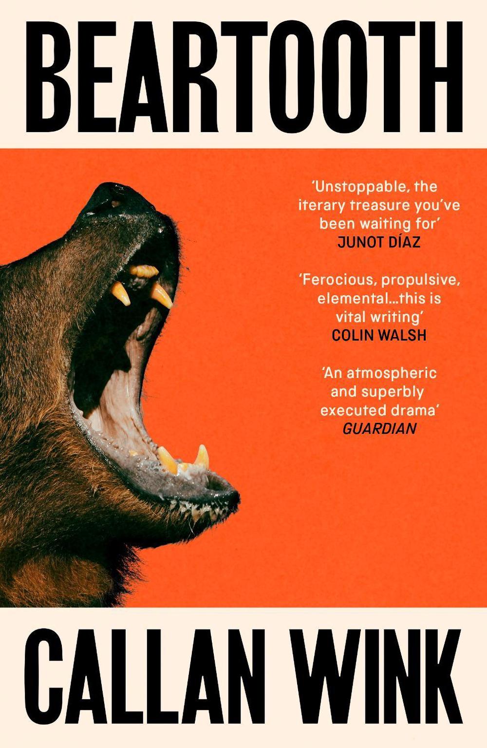 Beartooth, 9781803510989