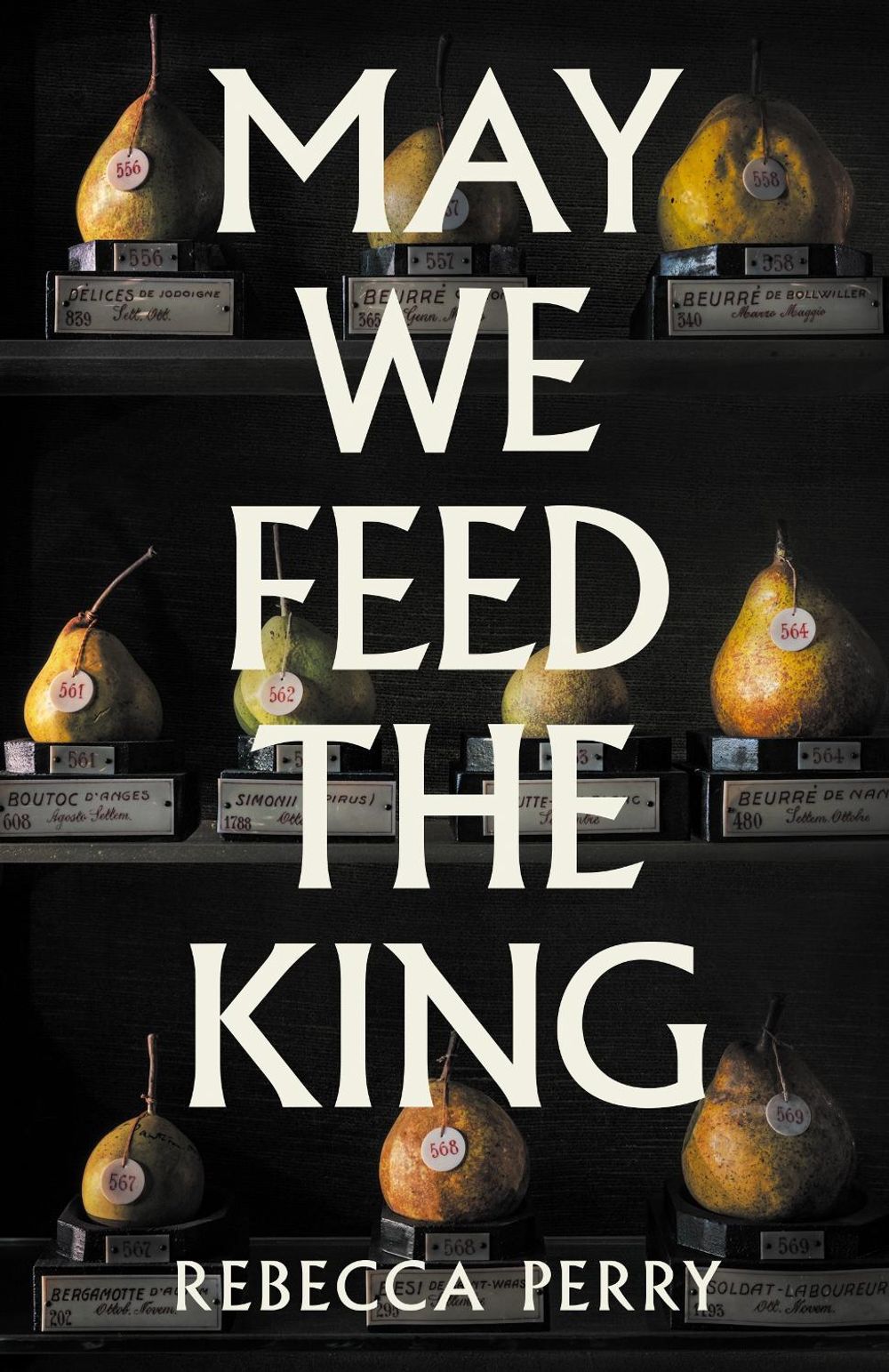 May We Feed the King by Rebecca Perry - ISBN: 9781803513867