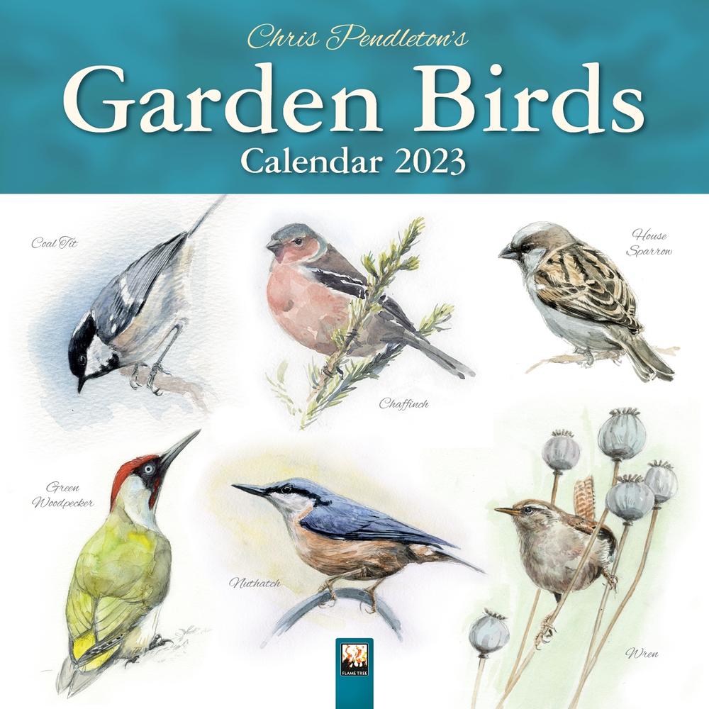 Chris Pendleton Garden Birds Wall Calendar 2023 (art Calendar) Buy online at The Nile