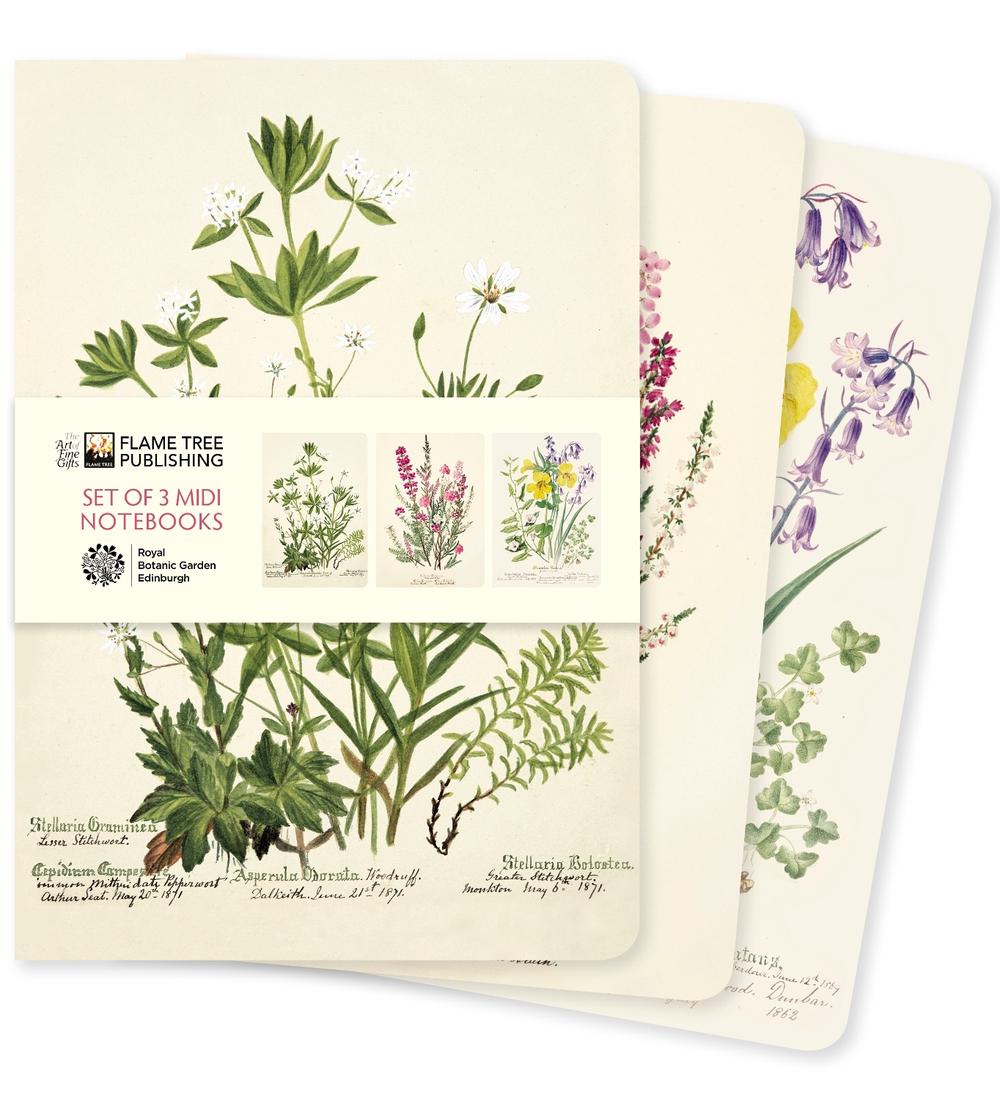 Flame Tree Studio Royal Botanic Garden Edinburgh Set of 3 Midi Notebooks, 9781804177778