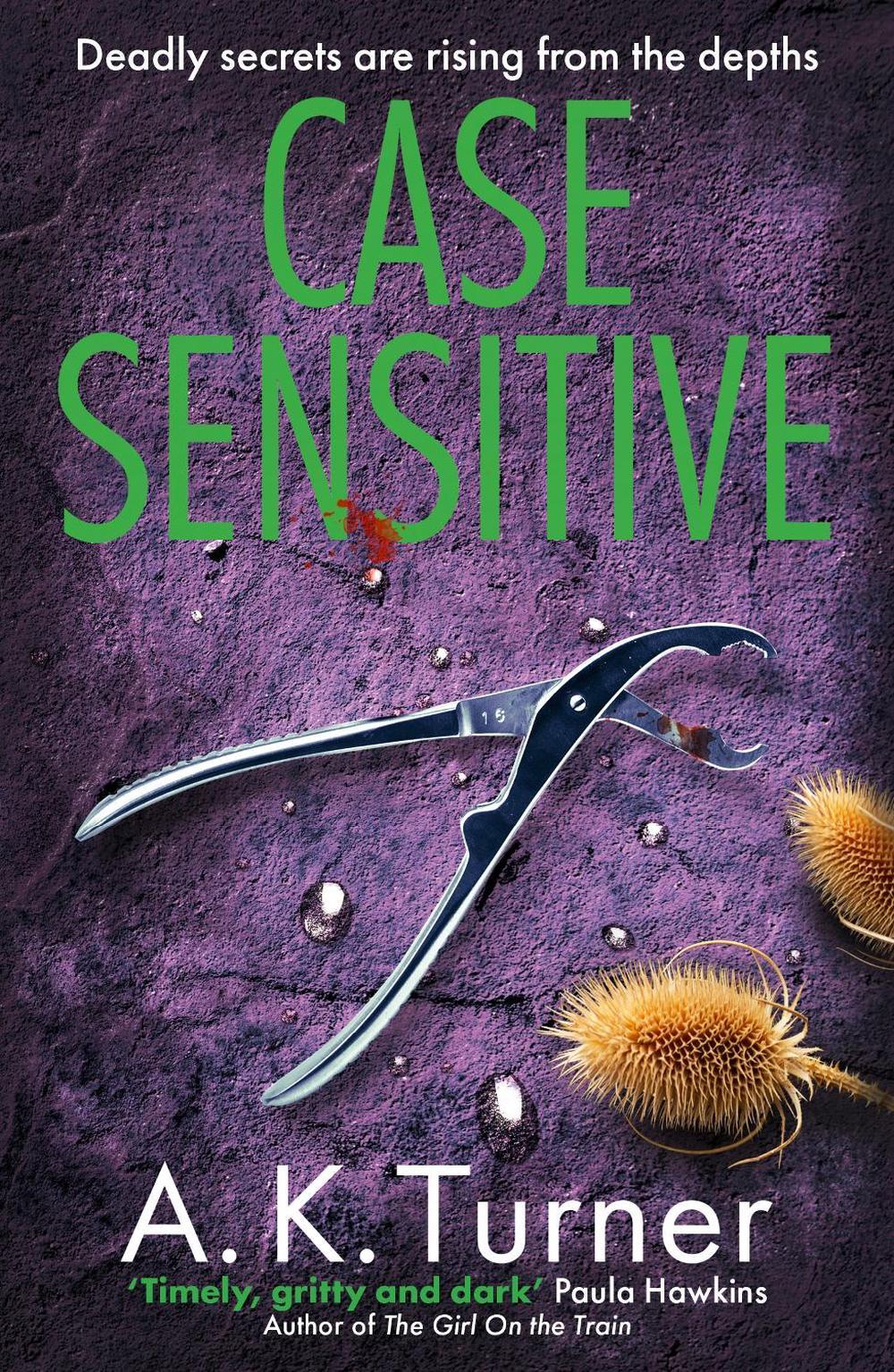 Case Sensitive, 9781804180594