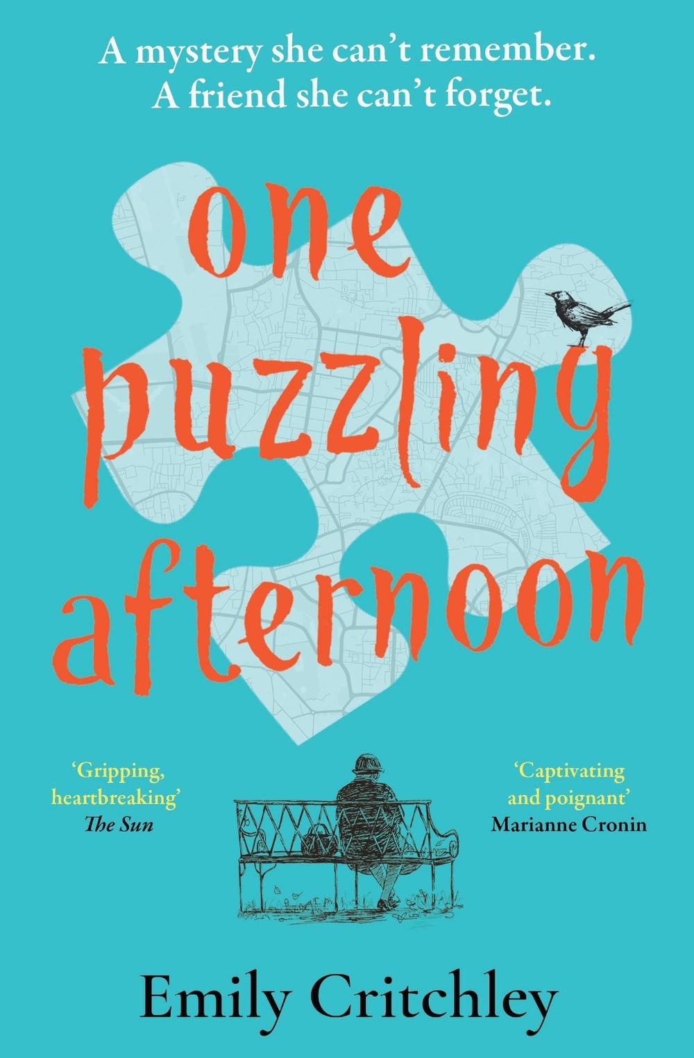 One Puzzling Afternoon, 9781804181287