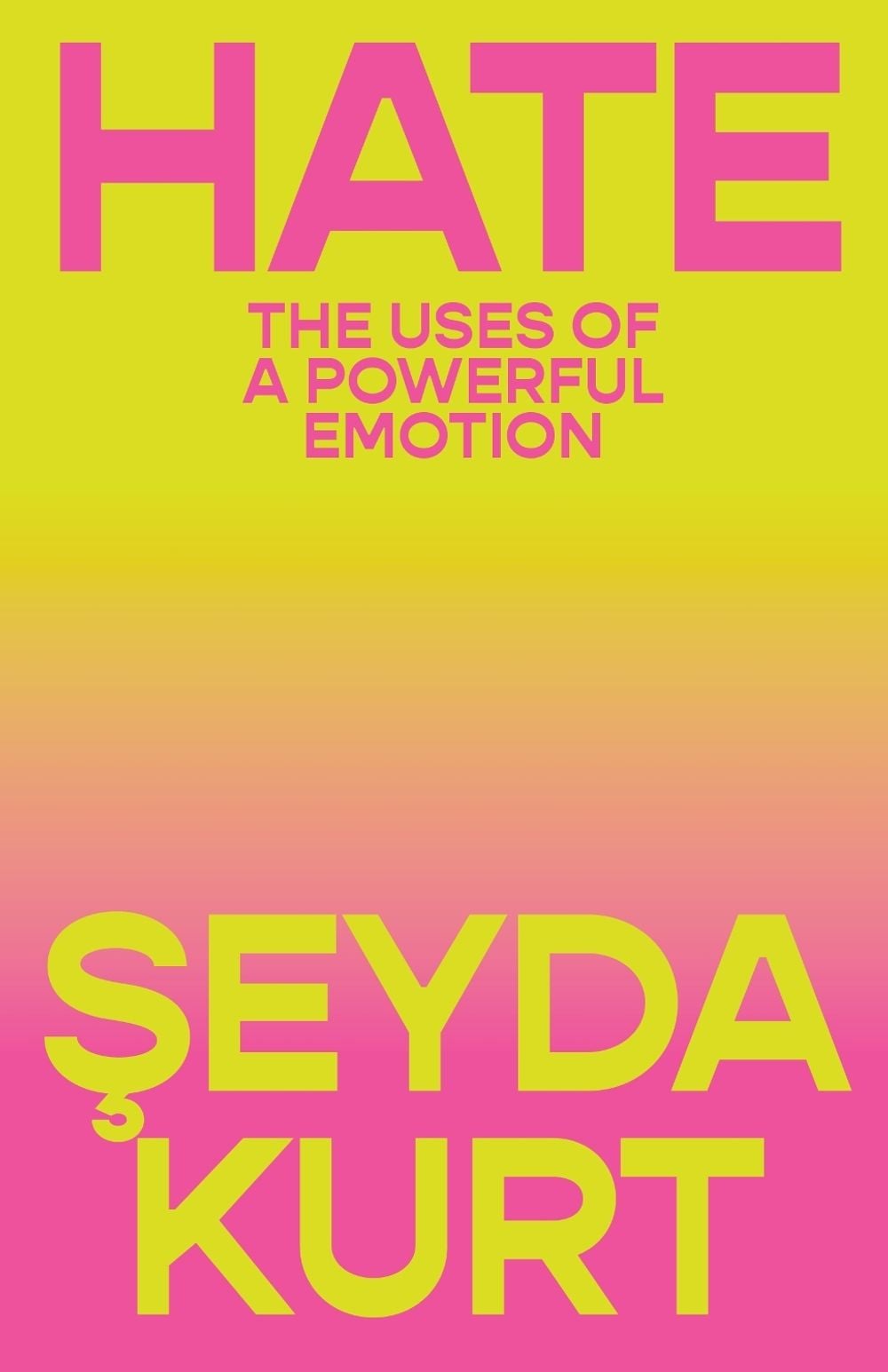 Hate by Seyda Kurt - ISBN: 9781804298114