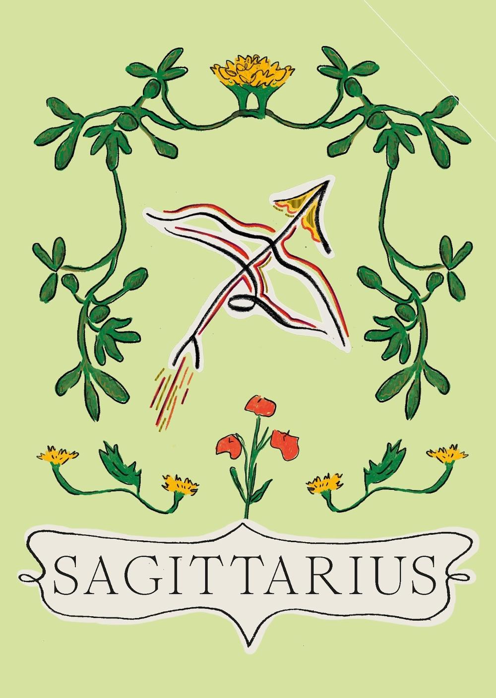 Sagittarius, 9781804530016