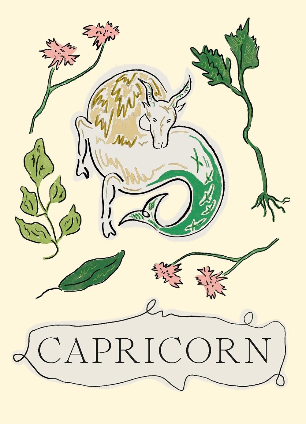 Capricorn by Liberty Phi - ISBN: 9781804530023