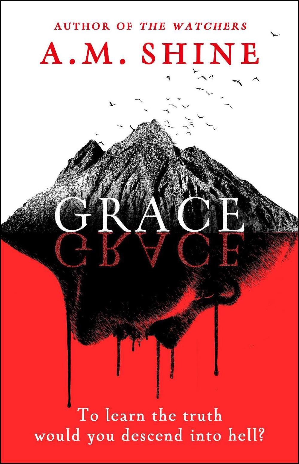 Grace by A.M. Shine - ISBN: 9781804547991