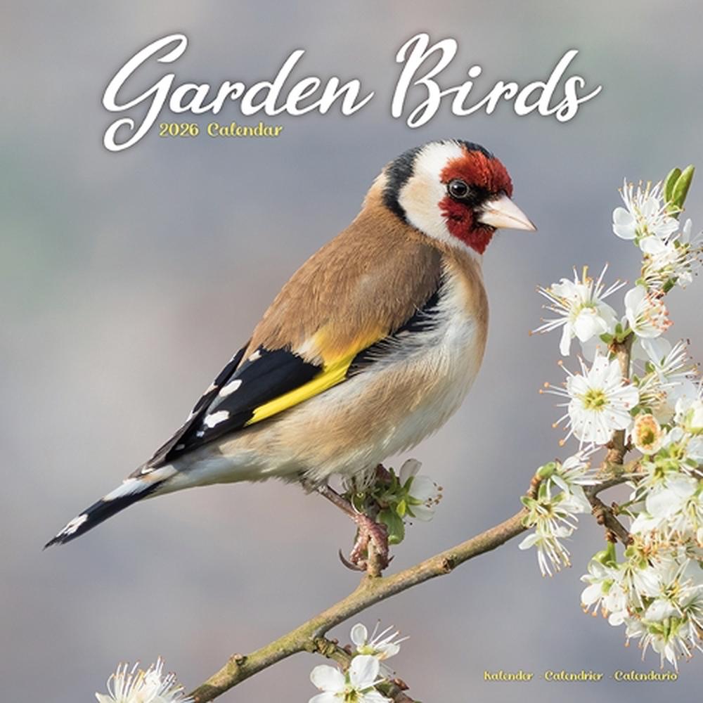 Garden Birds Calendar 2026 Square Birds Wall Calendar - 16 Month ...